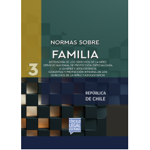 NORMAS SOBRE FAMILIA [ 3 ]